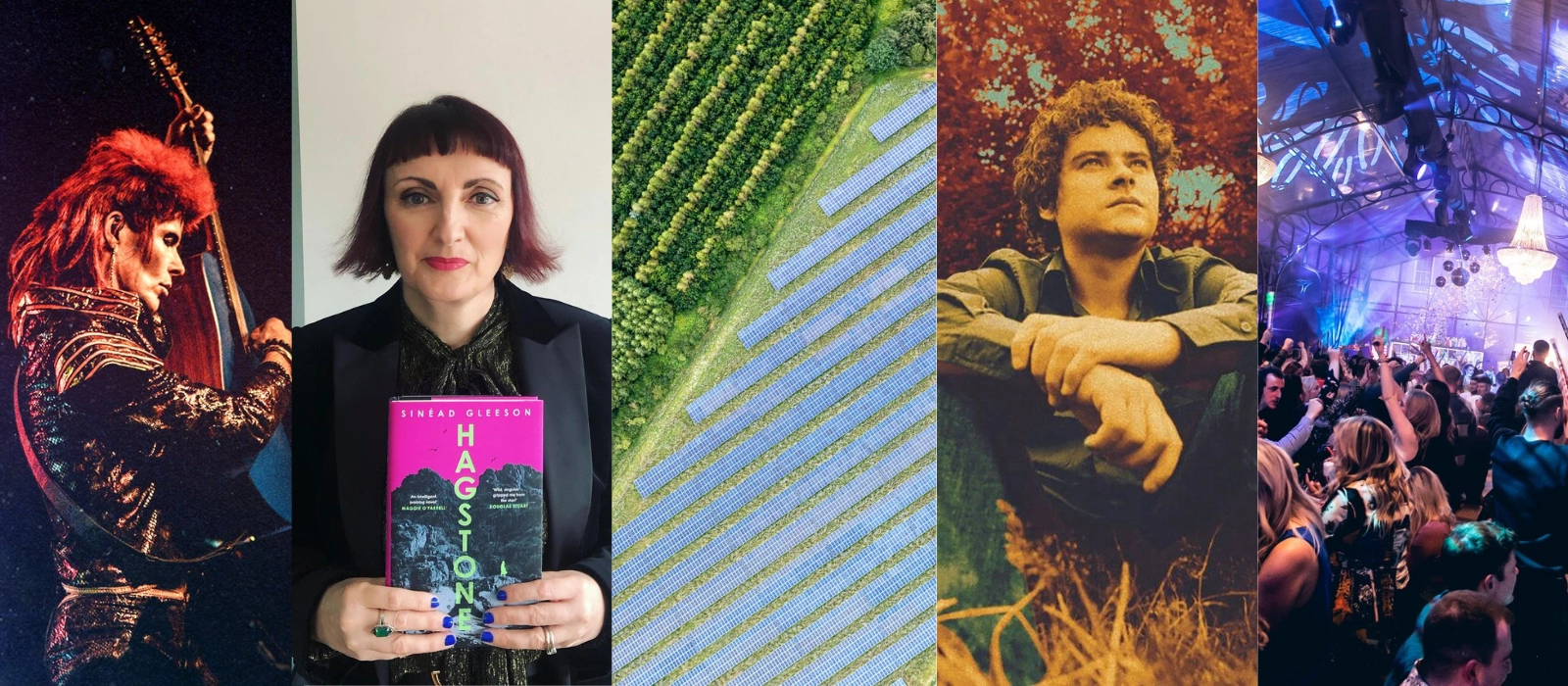 Weekend guide what's on