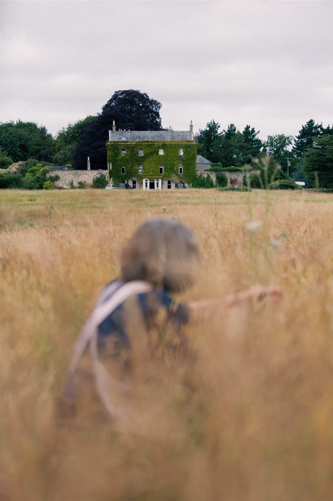 At Killyon Manor in Co Meath, foraged flowers showcase the beauty of native blooms
