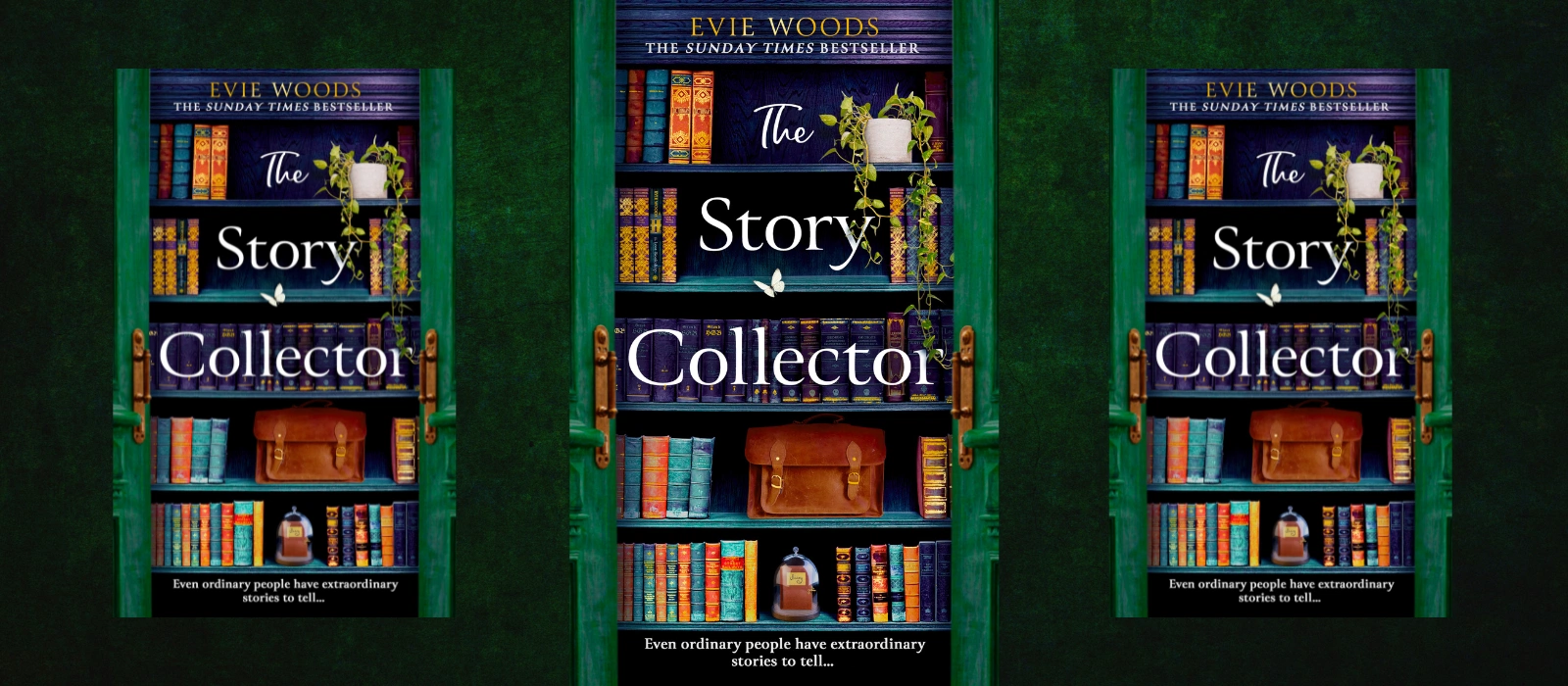 Evie Woods The Story Collector