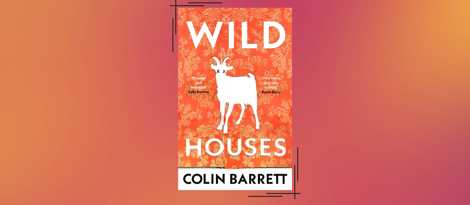 Wild Houses Colin Barrett