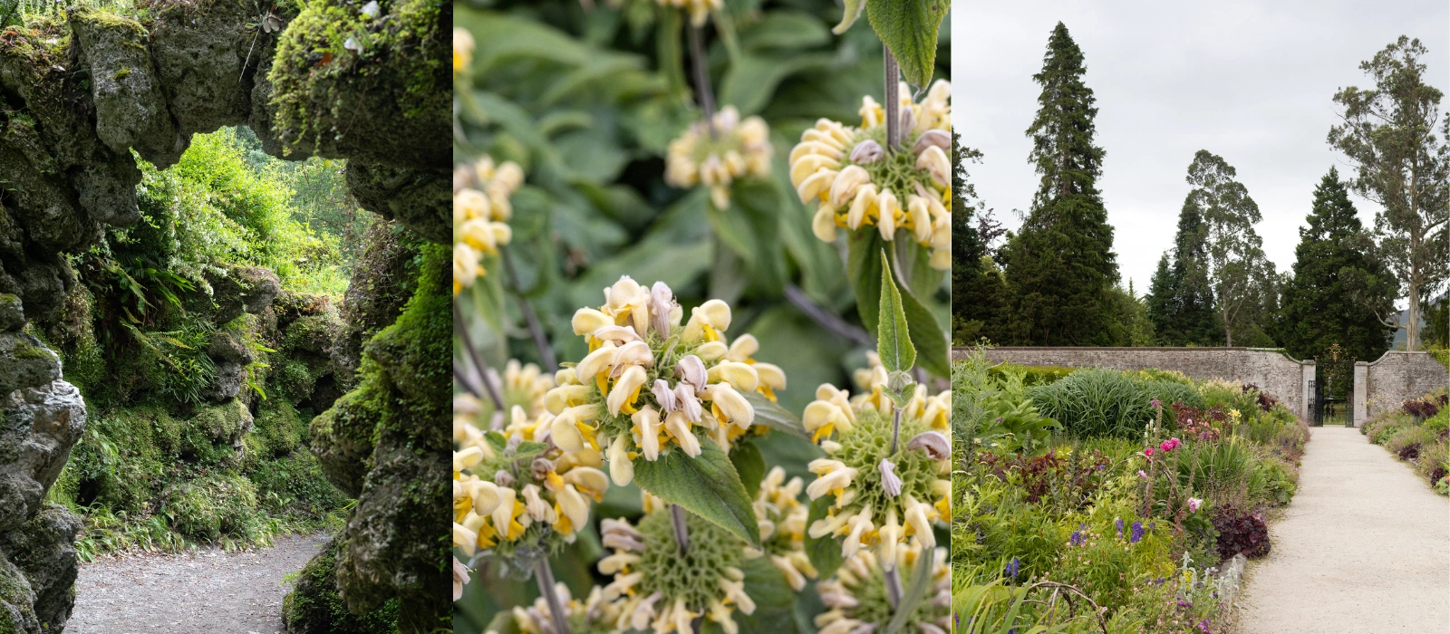 Day Trip outside Dublin Powerscourt