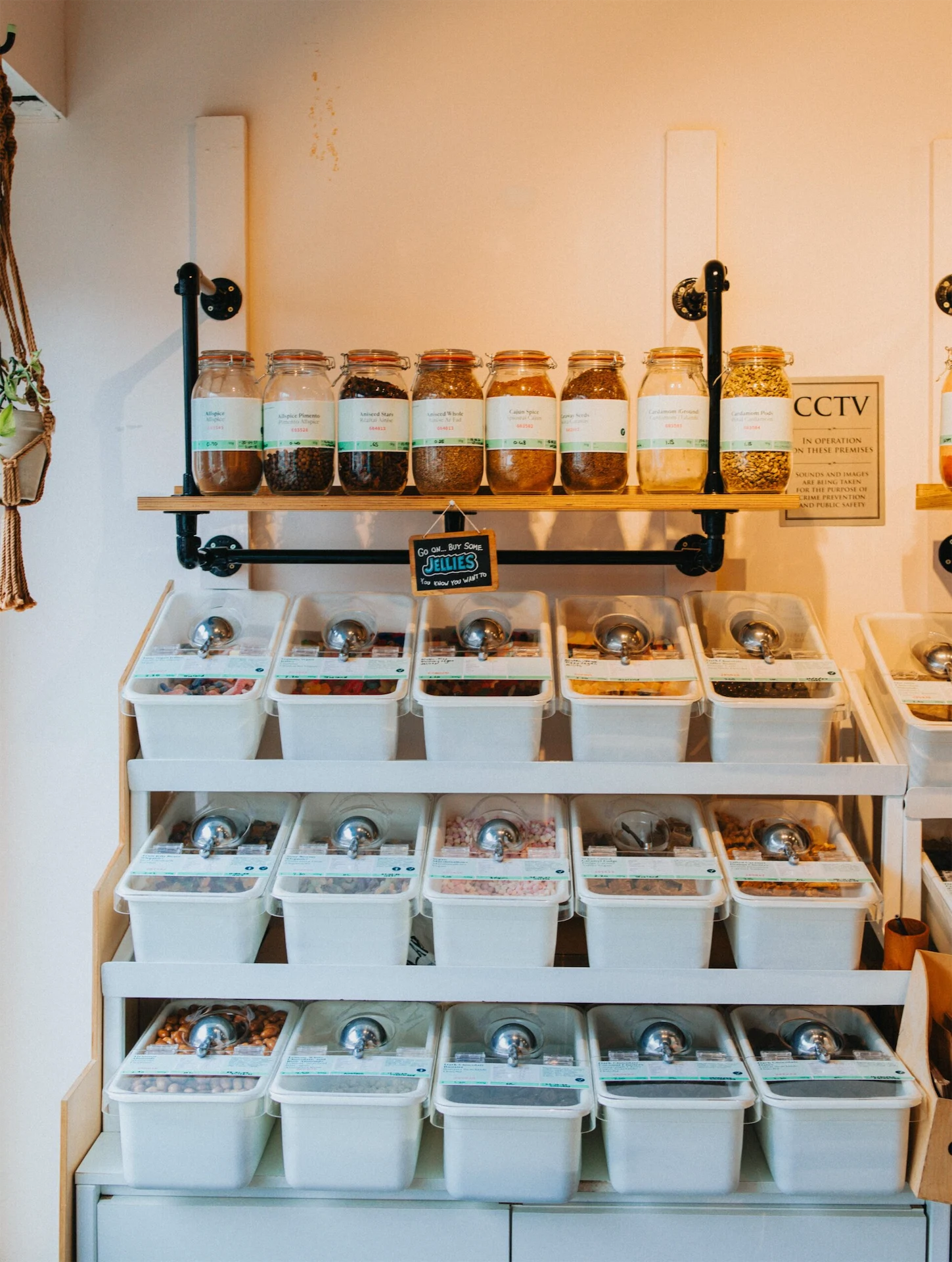 Jess Dollinger The Good Neighbour