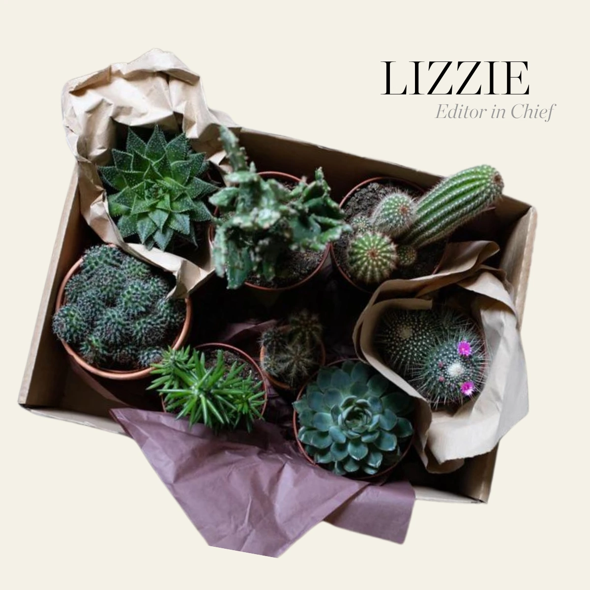 team image autumnal homeware