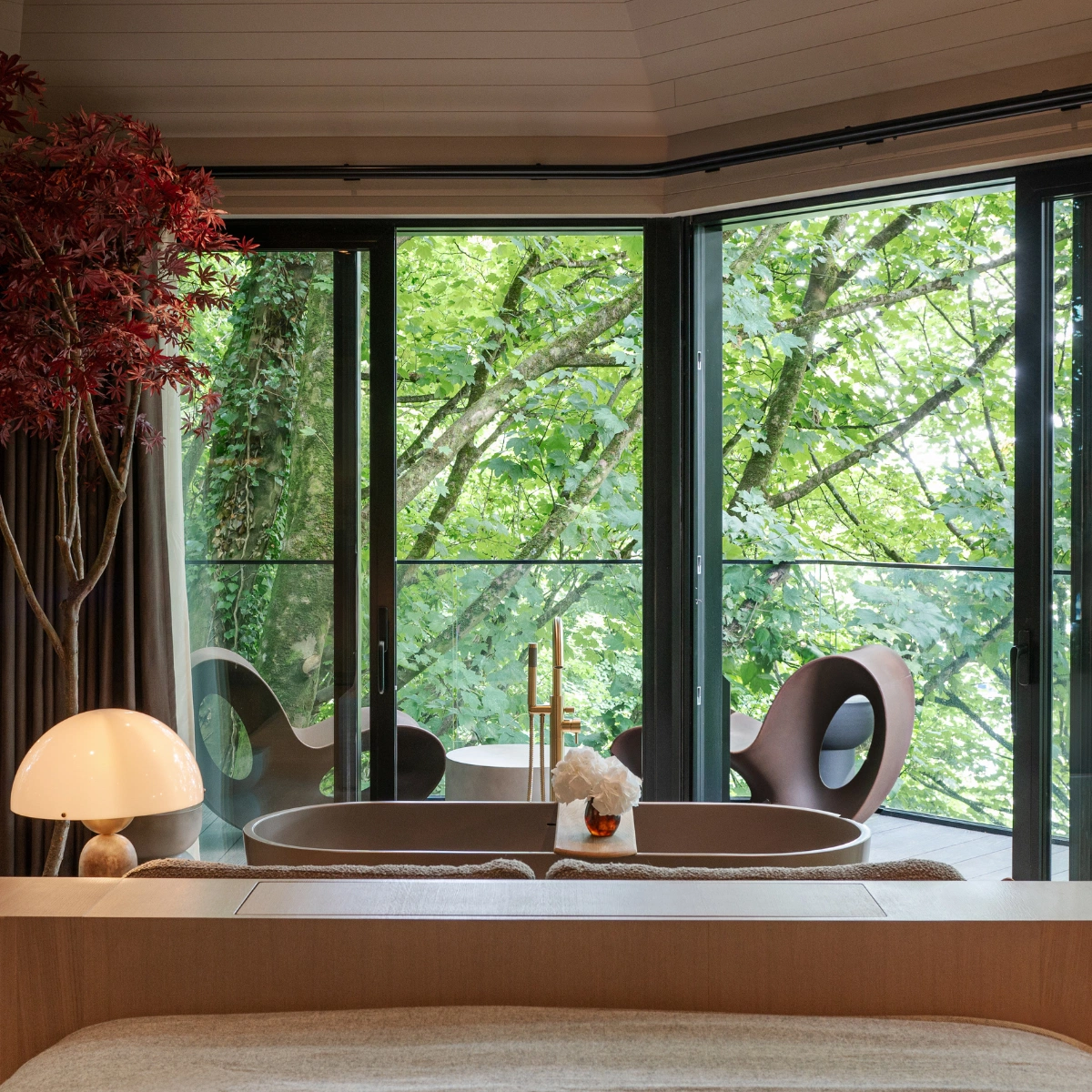 The Montenotte Woodland Experience