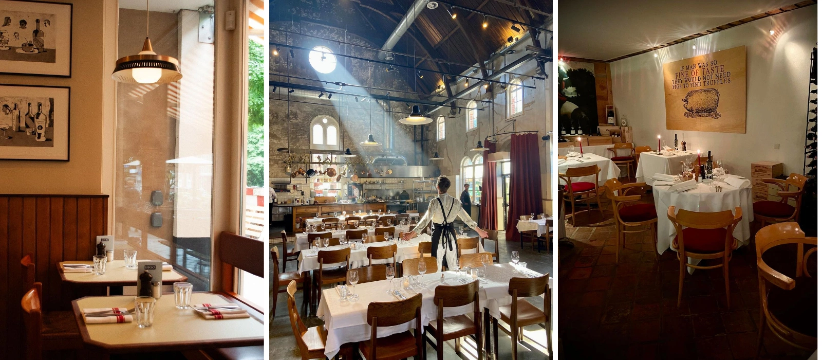 Ruth Walsh Amsterdam guide