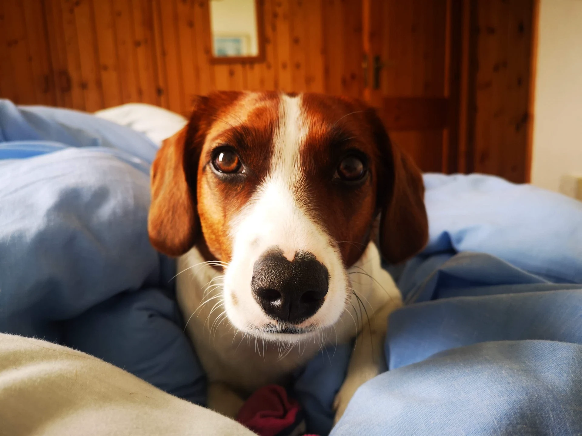 ‘Until now there has been one baby in my family’