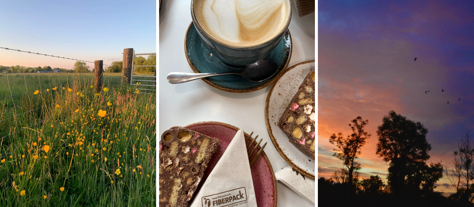 The County Guide: Deputy Digital Editor Sarah Finnan’s guide to Longford