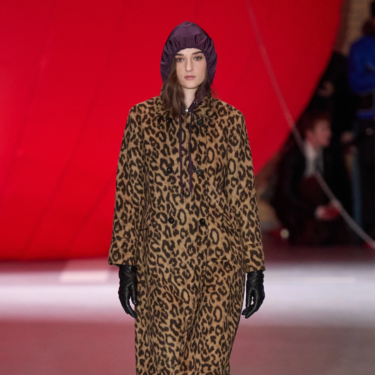 Baum und Pferdgarten