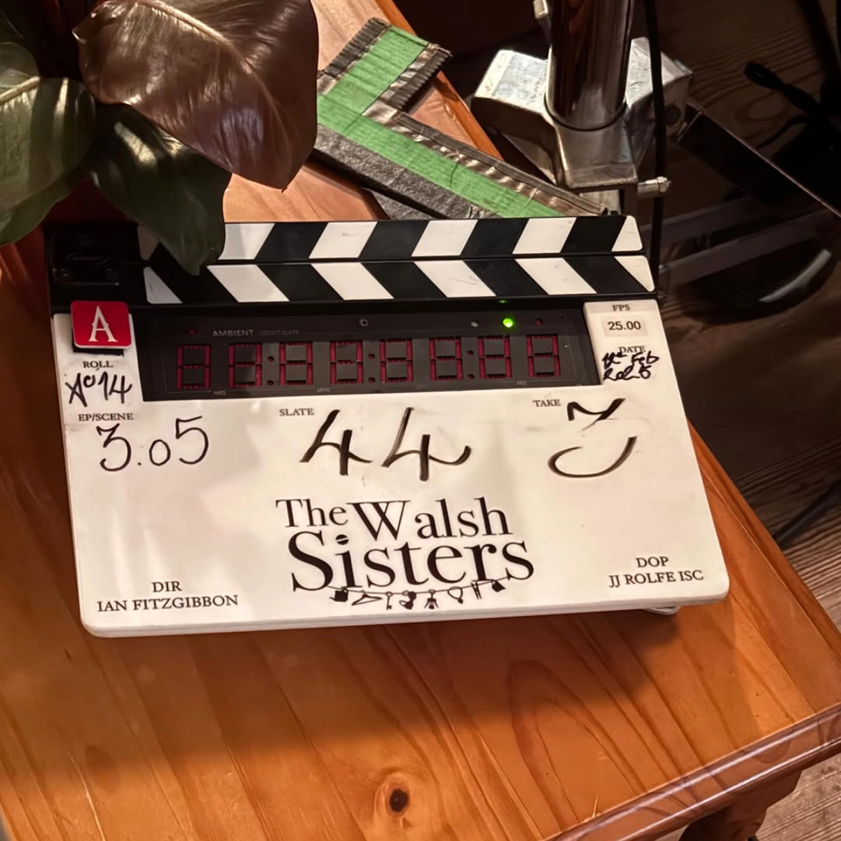 The Walsh Sisters cast