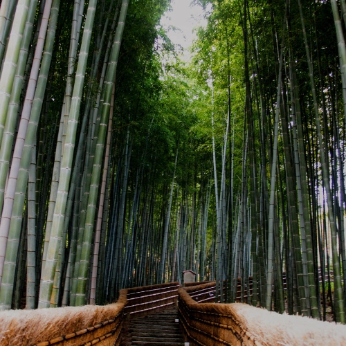 ADASHINO NENBUTSU-JI