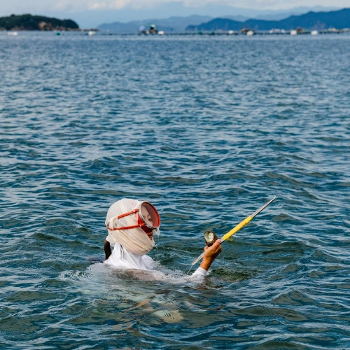 PEARL DIVERS, AGO BAY