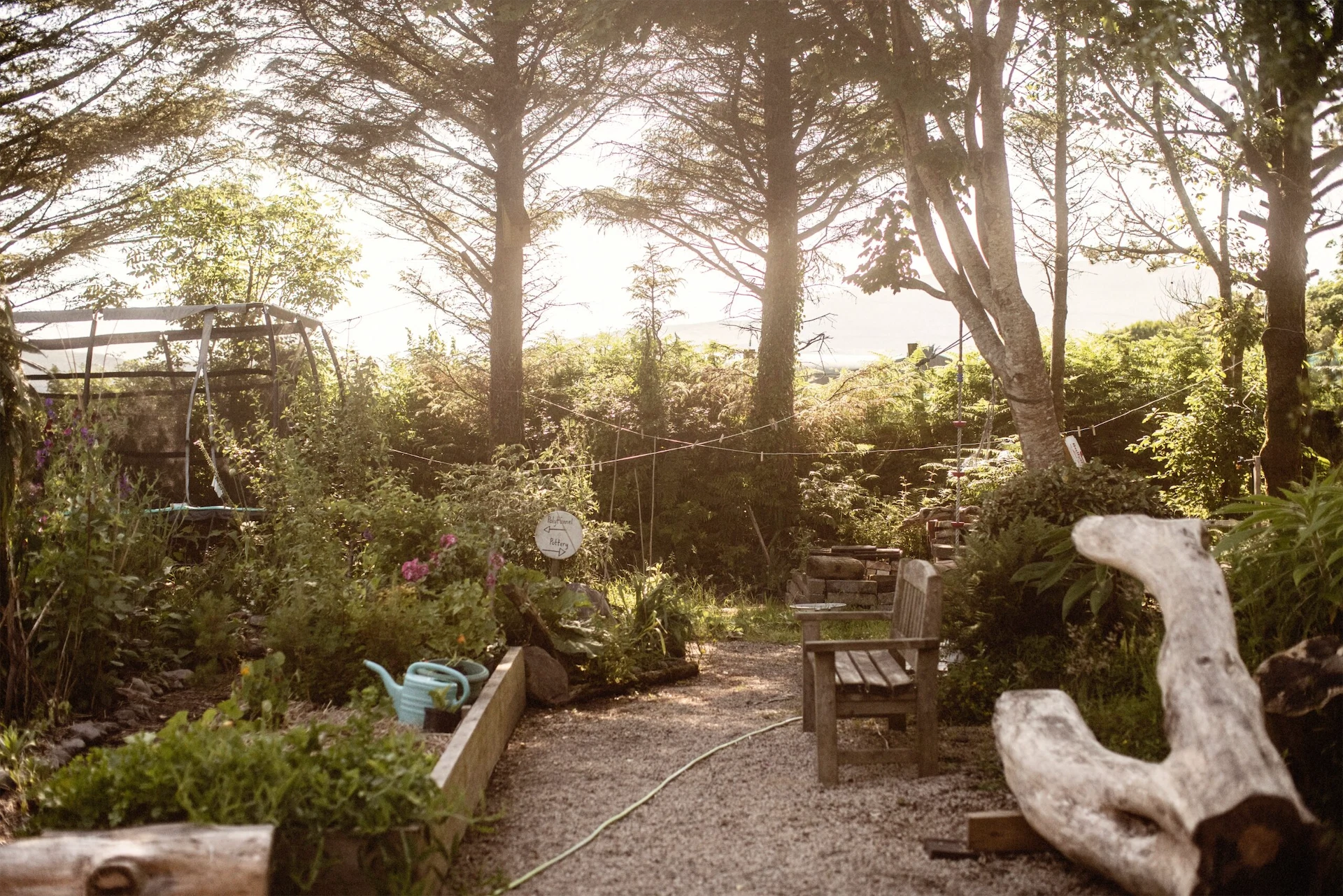 Meet the couple making some of Ireland’s most sought-after pottery in their Kerry backyard studio