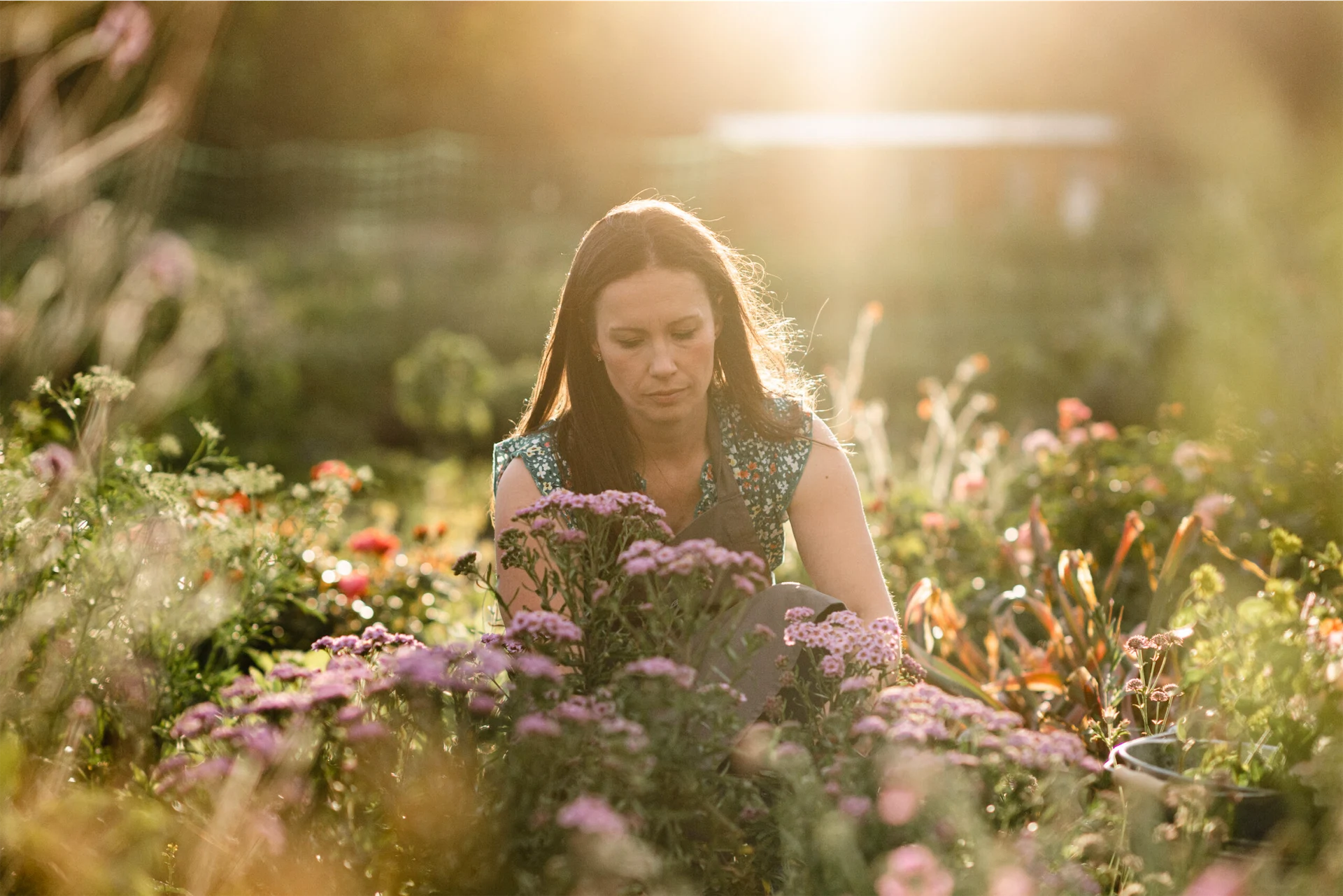 Photo 07-07-2023, 20 01 42