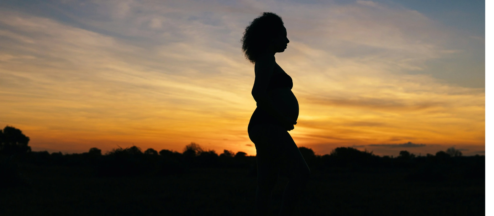 Untitled design (48)