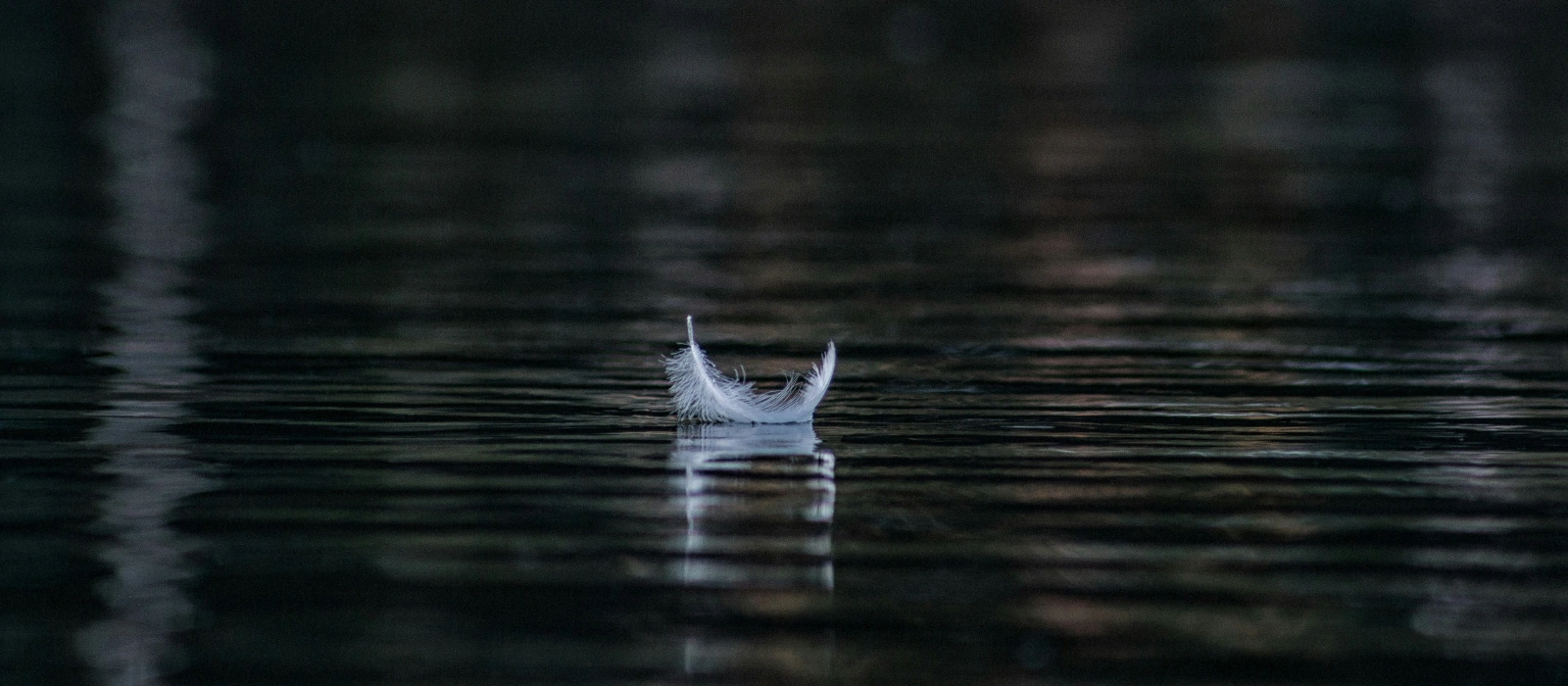 ‘Grief was like being knocked down by a speeding bus. It came out of nowhere and completely floored me’