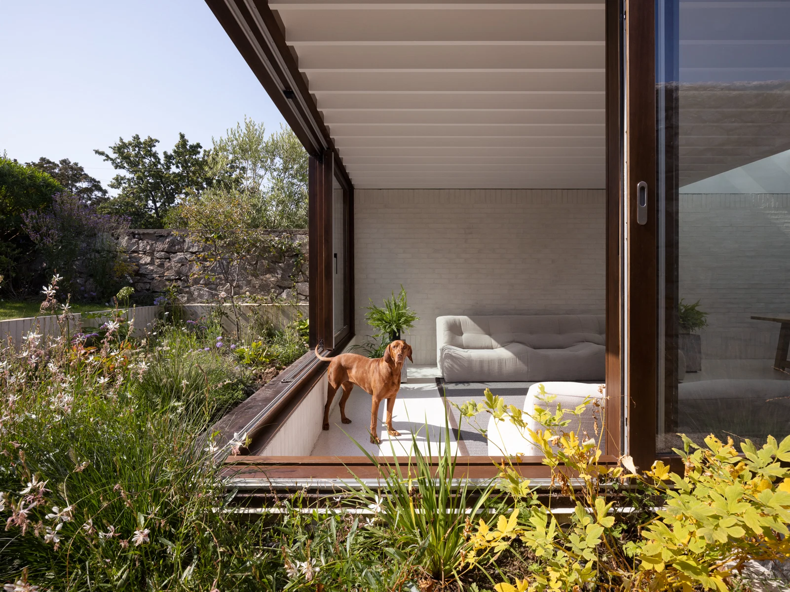 Blurring the indoor and outdoor was key to this Victorian terraced home in Glenageary Blurring the indoor and outdoor was key to this Victorian terraced home in Glenageary