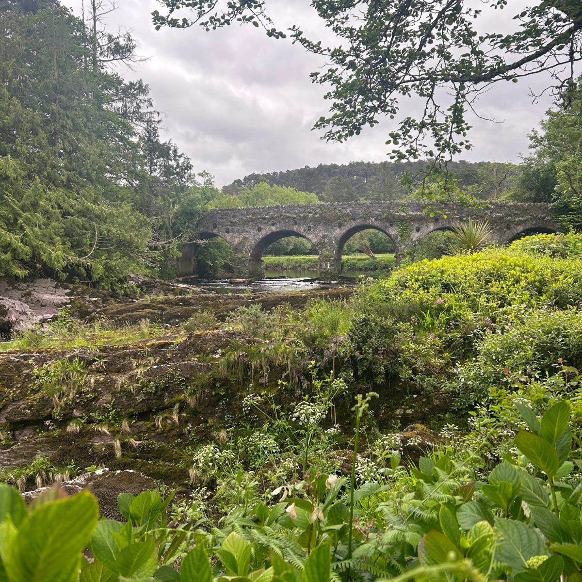 The river and bridge adjacent to the hotel 