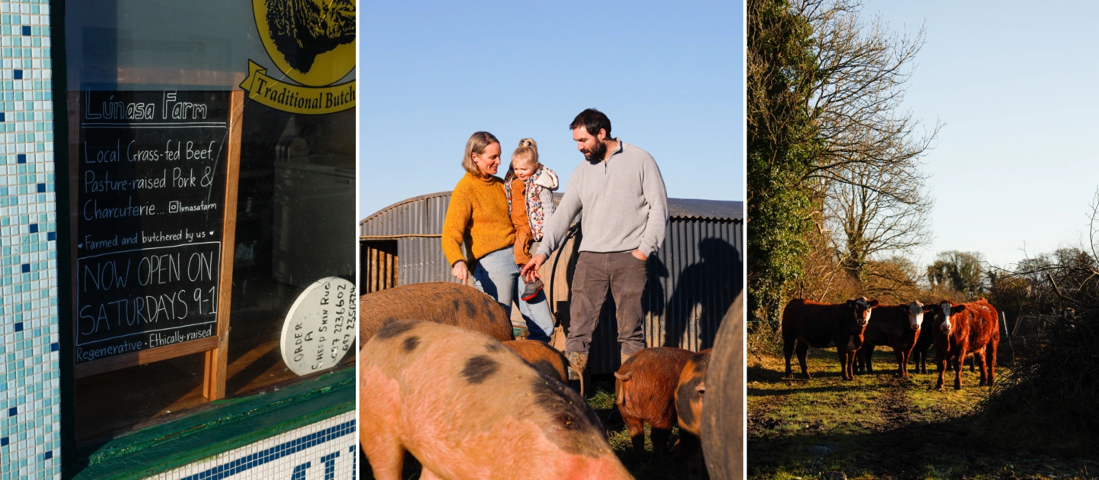 Lúnasa Farm: ‘What really drew me into farming was the community’