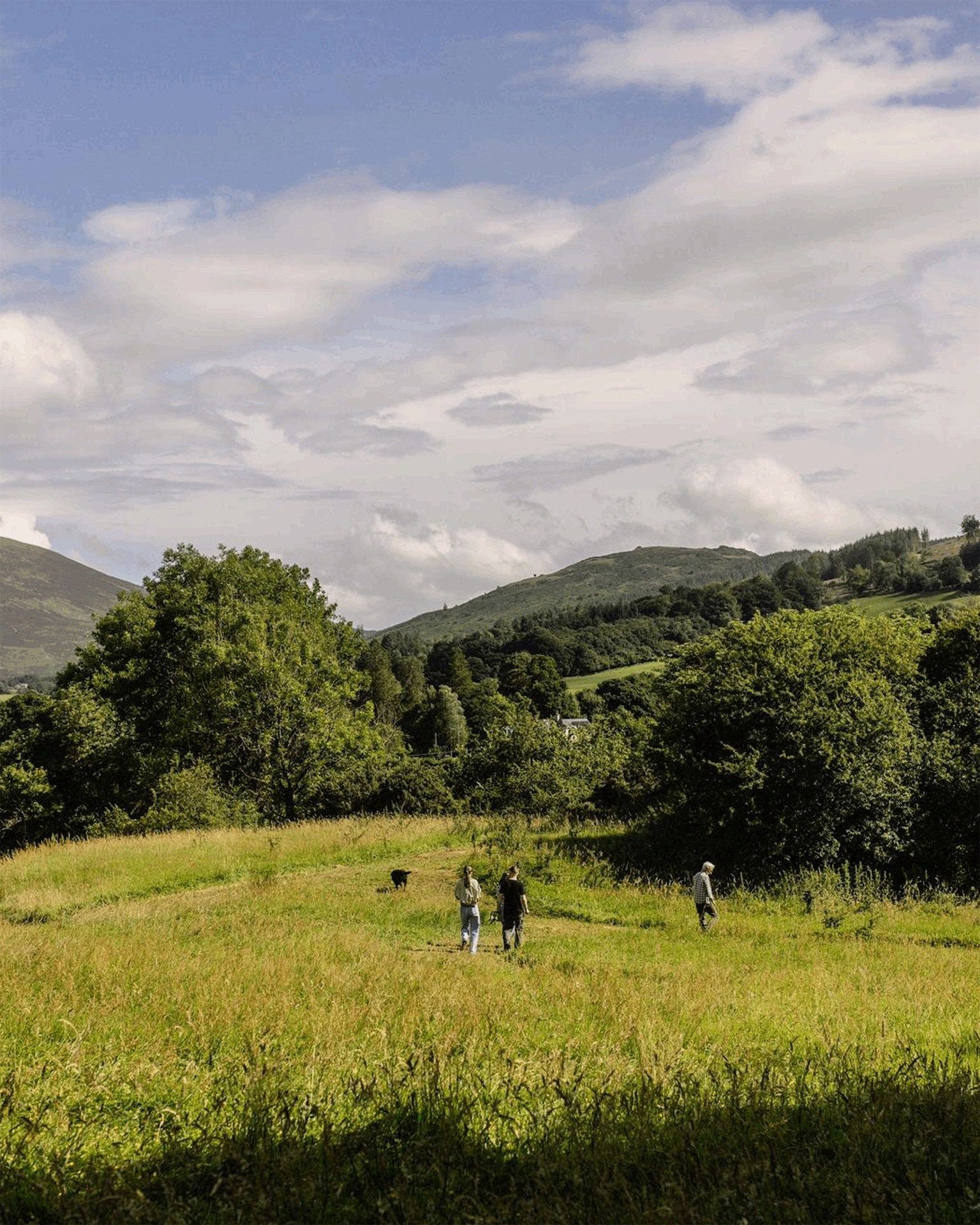 WIN a pair of tickets to Allta’s Summer Table event