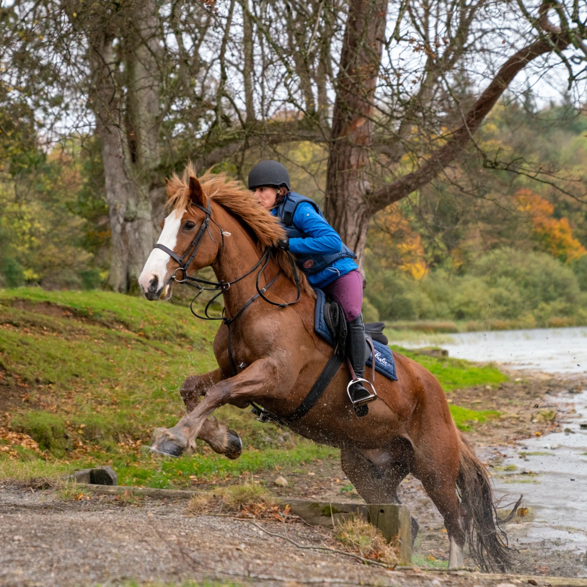 Castle Leslie Estate