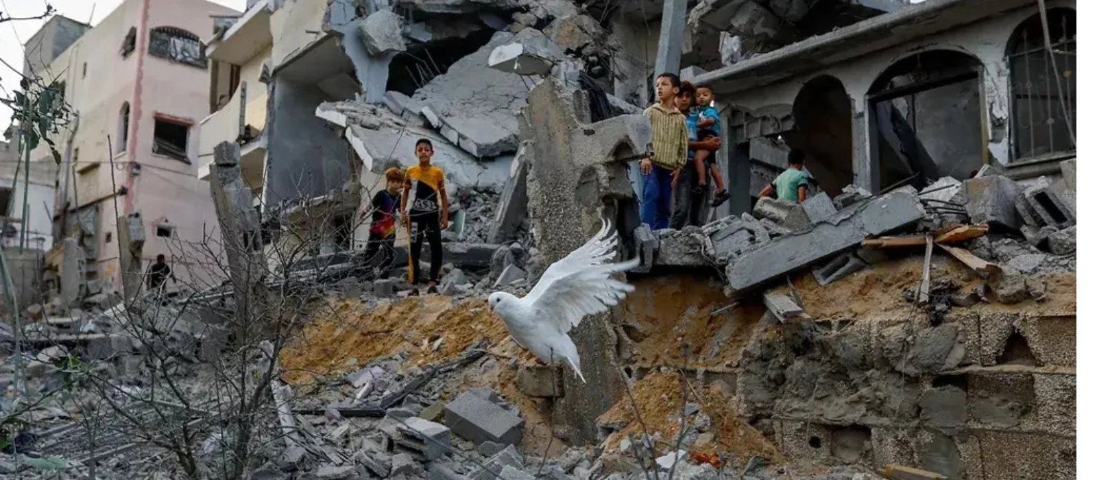 12 Irish charities supporting Gaza and Palestine right now