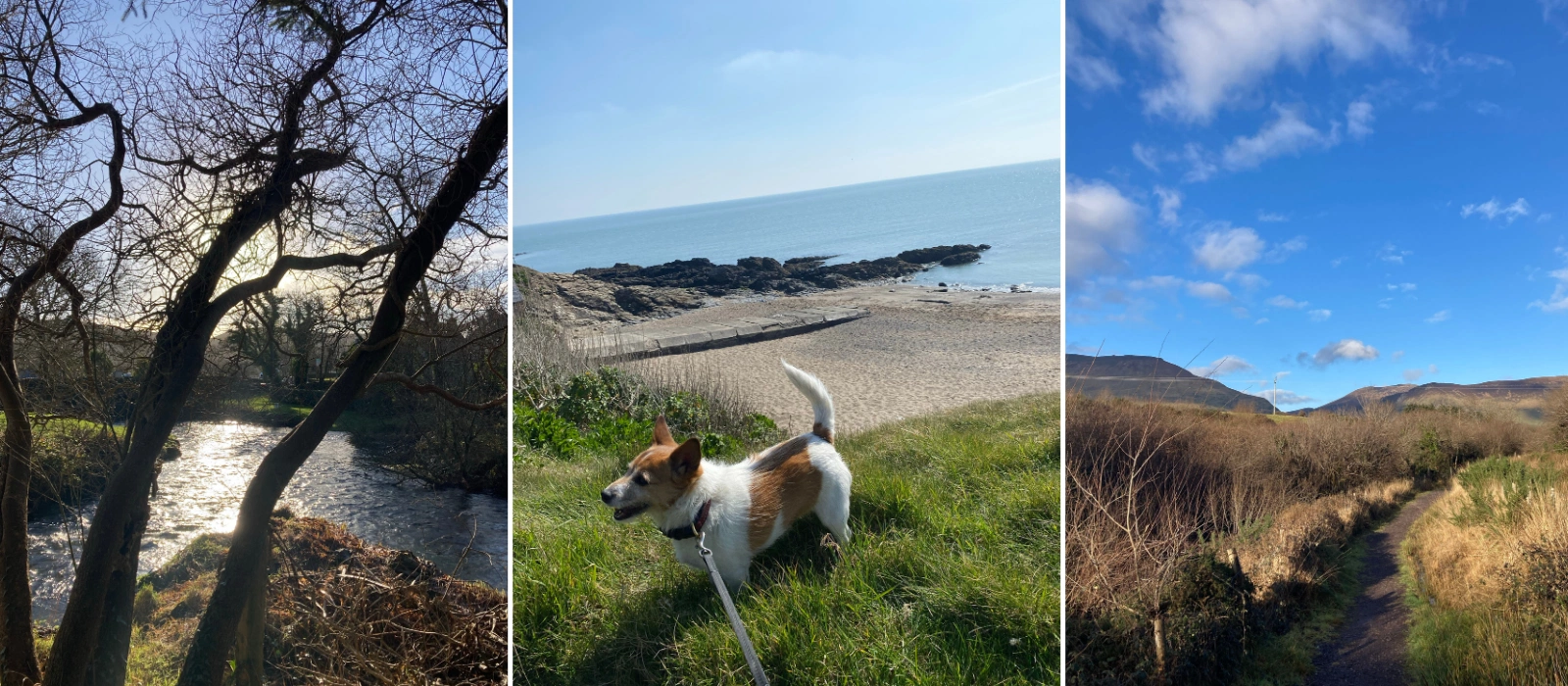 Team IMAGE share their favourite hiking trails