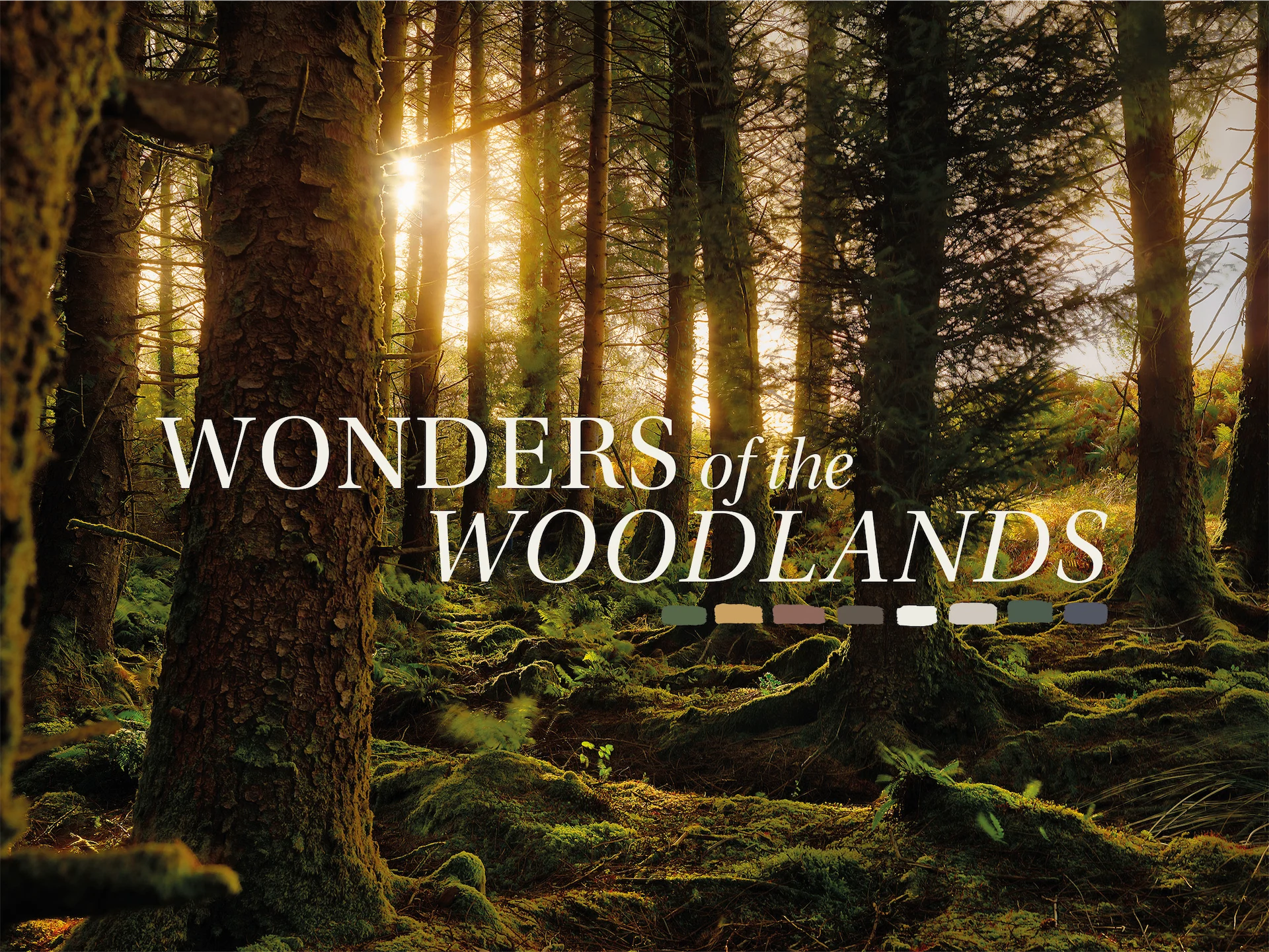 autumn paint colours