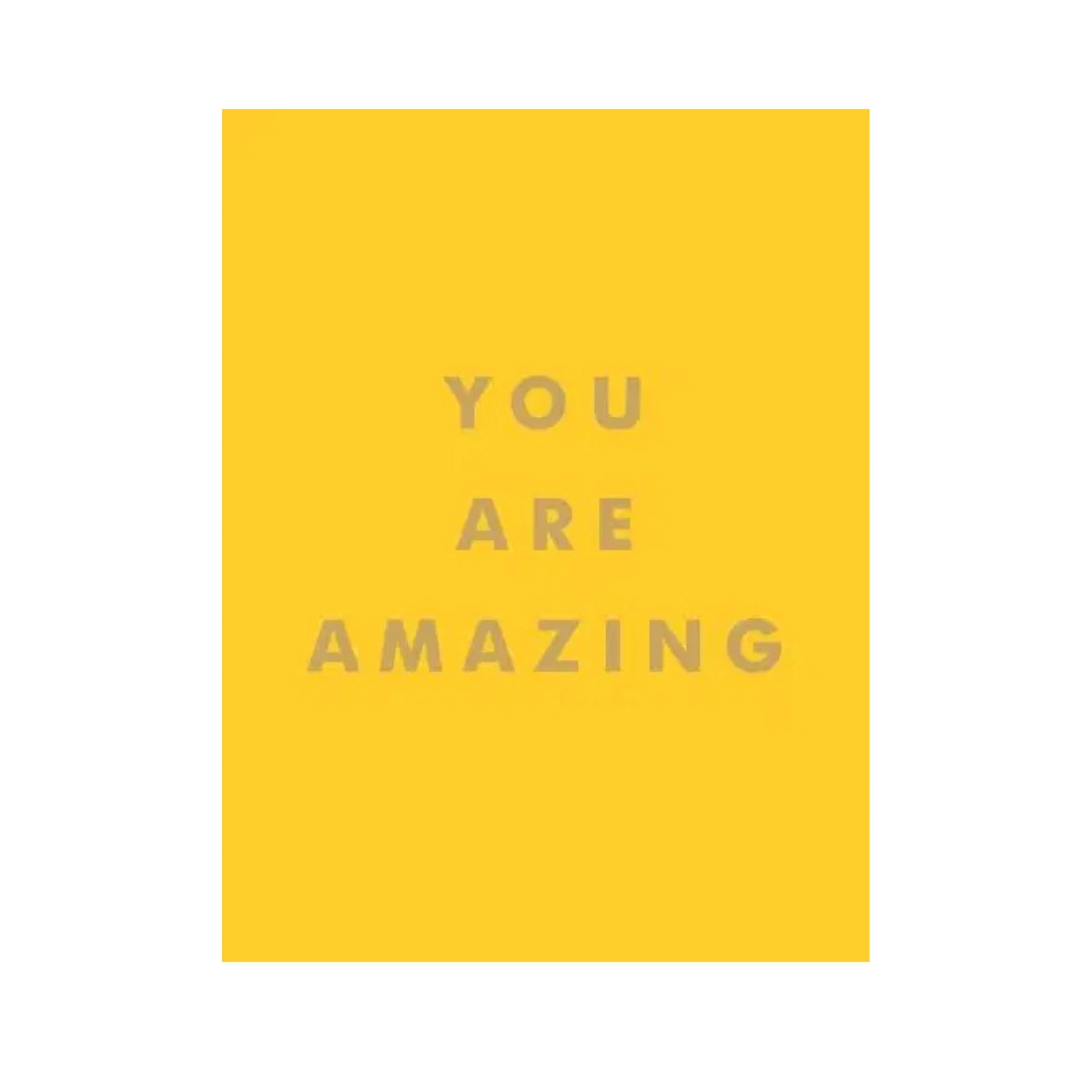 You Are Amazing Hardback, €10.14