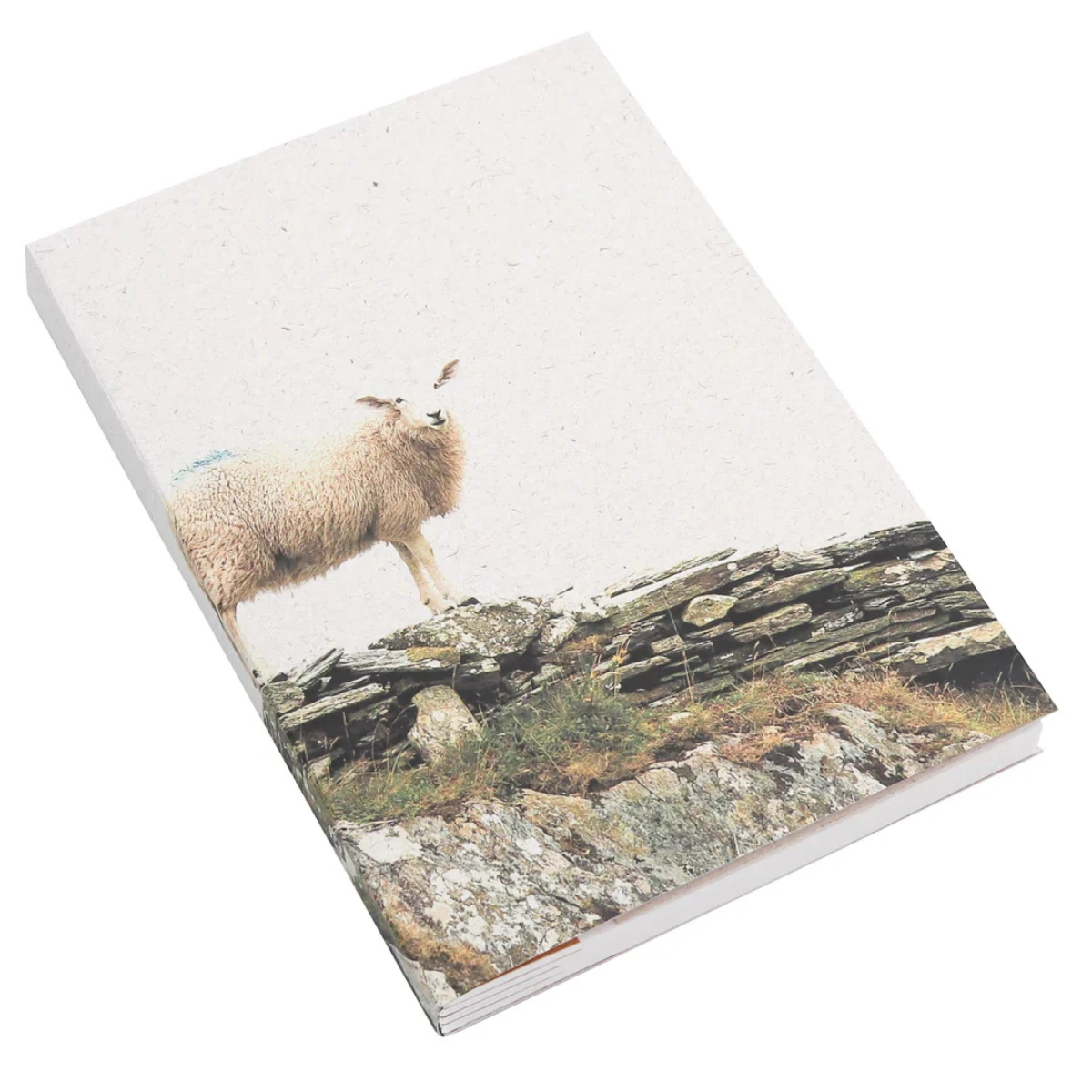 Badly Made Books A5 Sheep's Head, €26