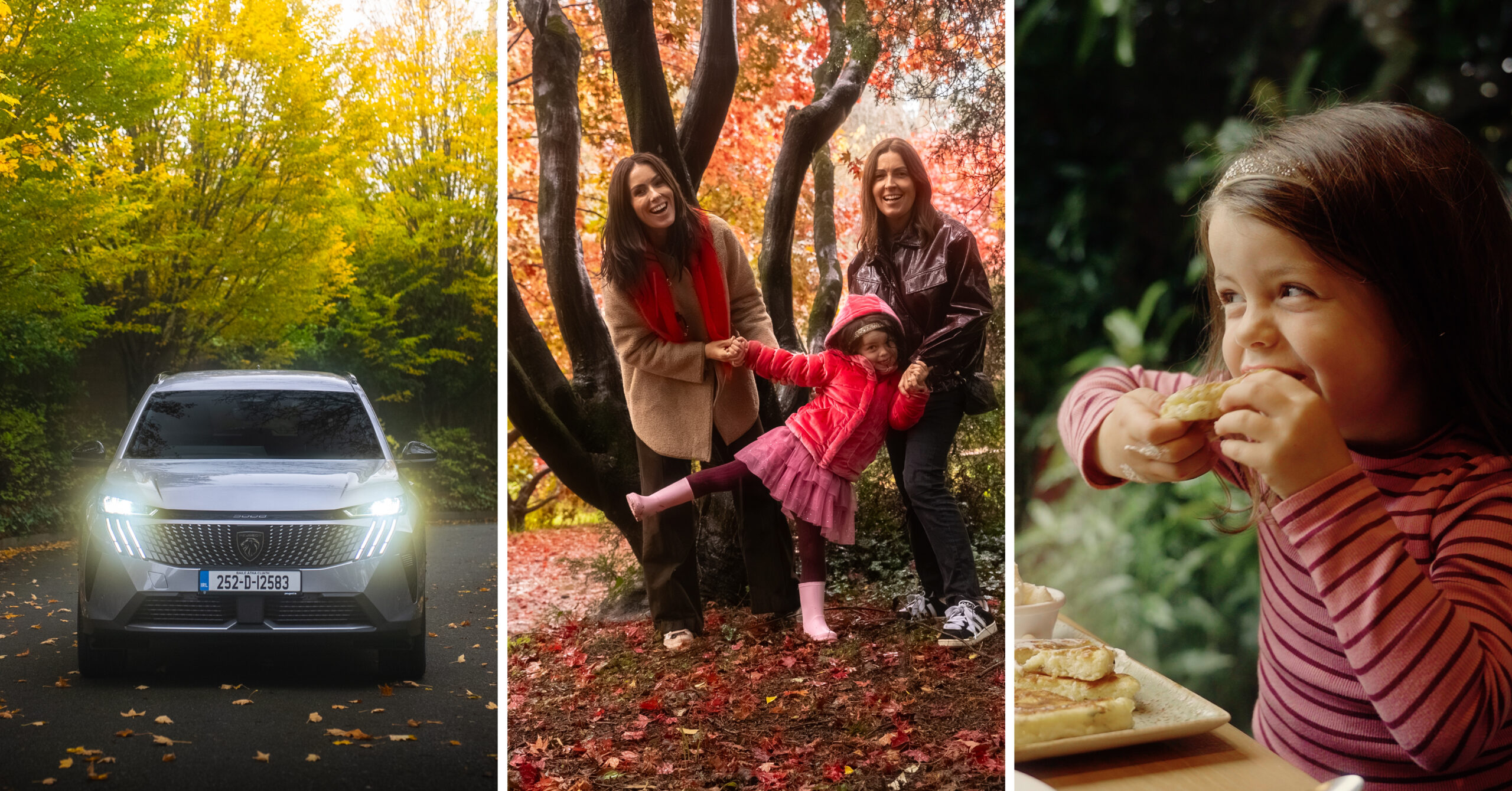 The ultimate family day out in Wicklow