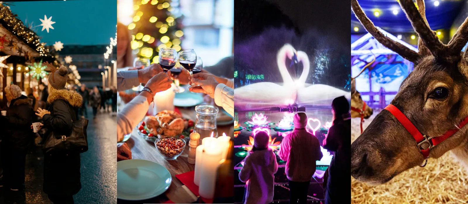 December Guide: 19 events happening around Ireland this month