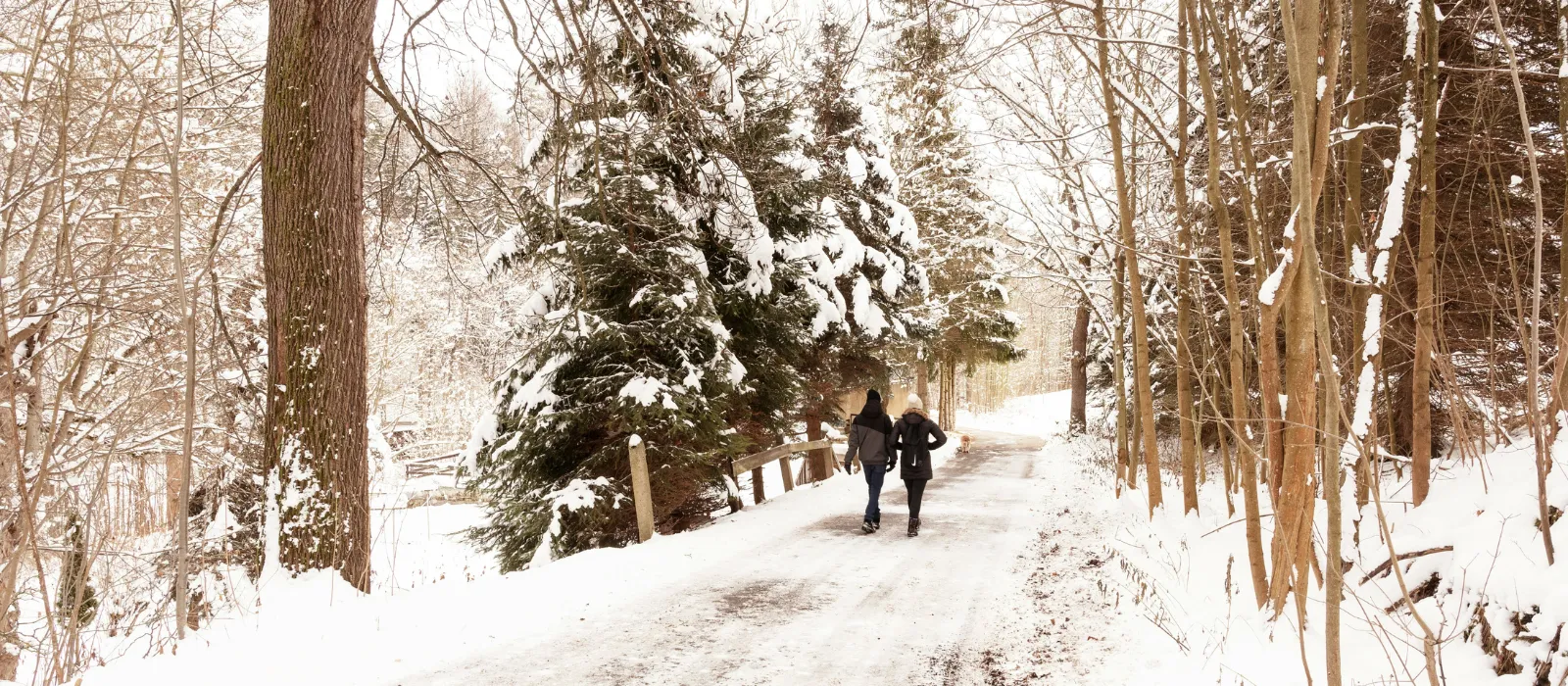 The best winter walks for all the family to enjoy