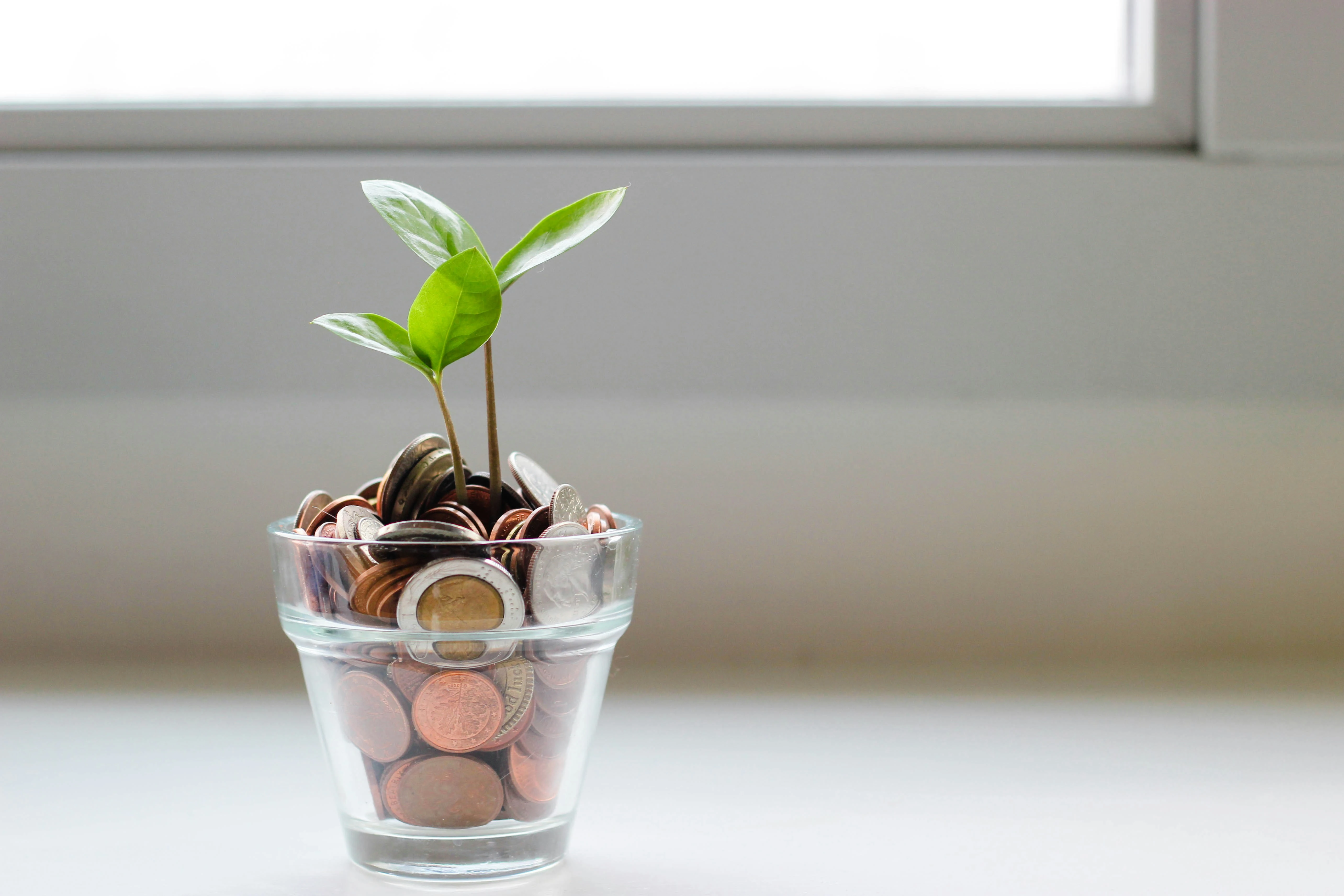 Auto-enrolment countdown: what employers and employees need to know about MyFutureFund