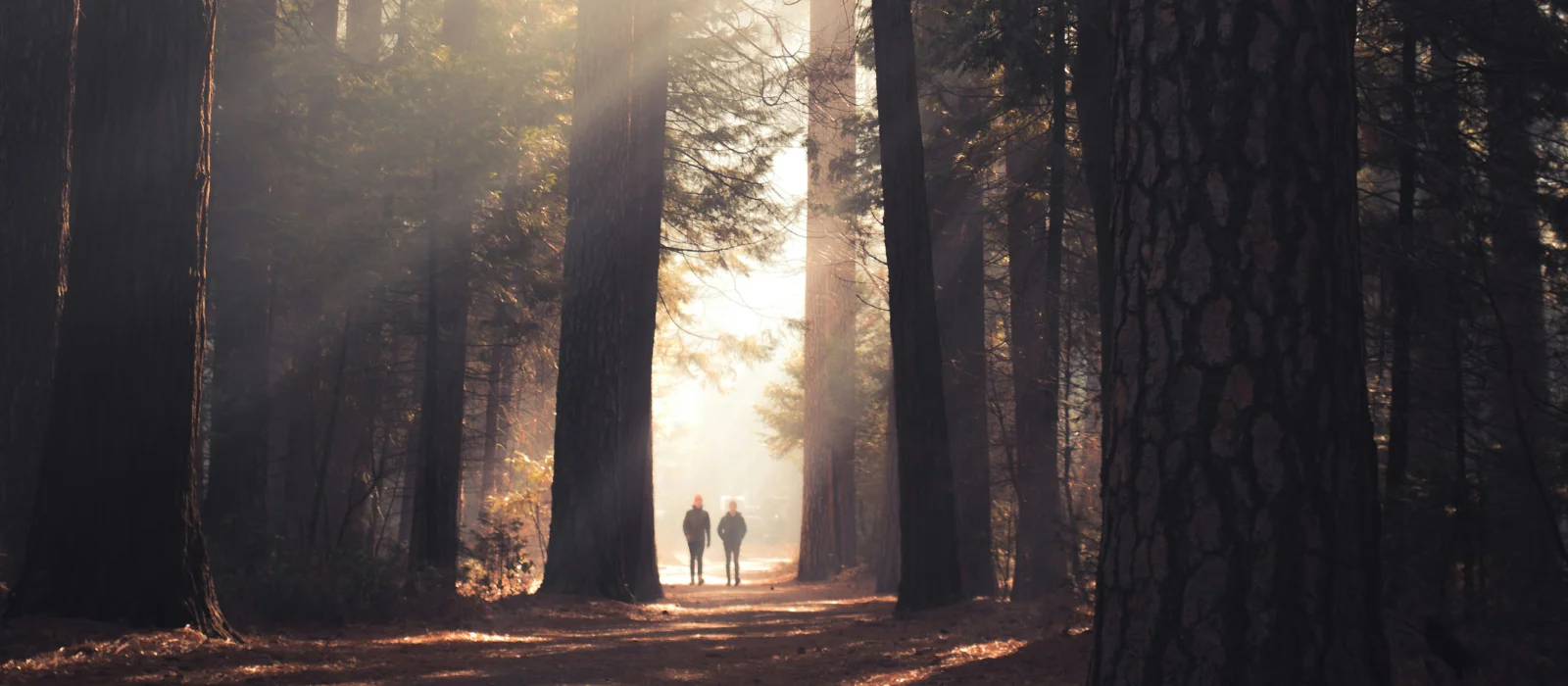 This fundraiser honours the lives and legacies of those we’ve lost