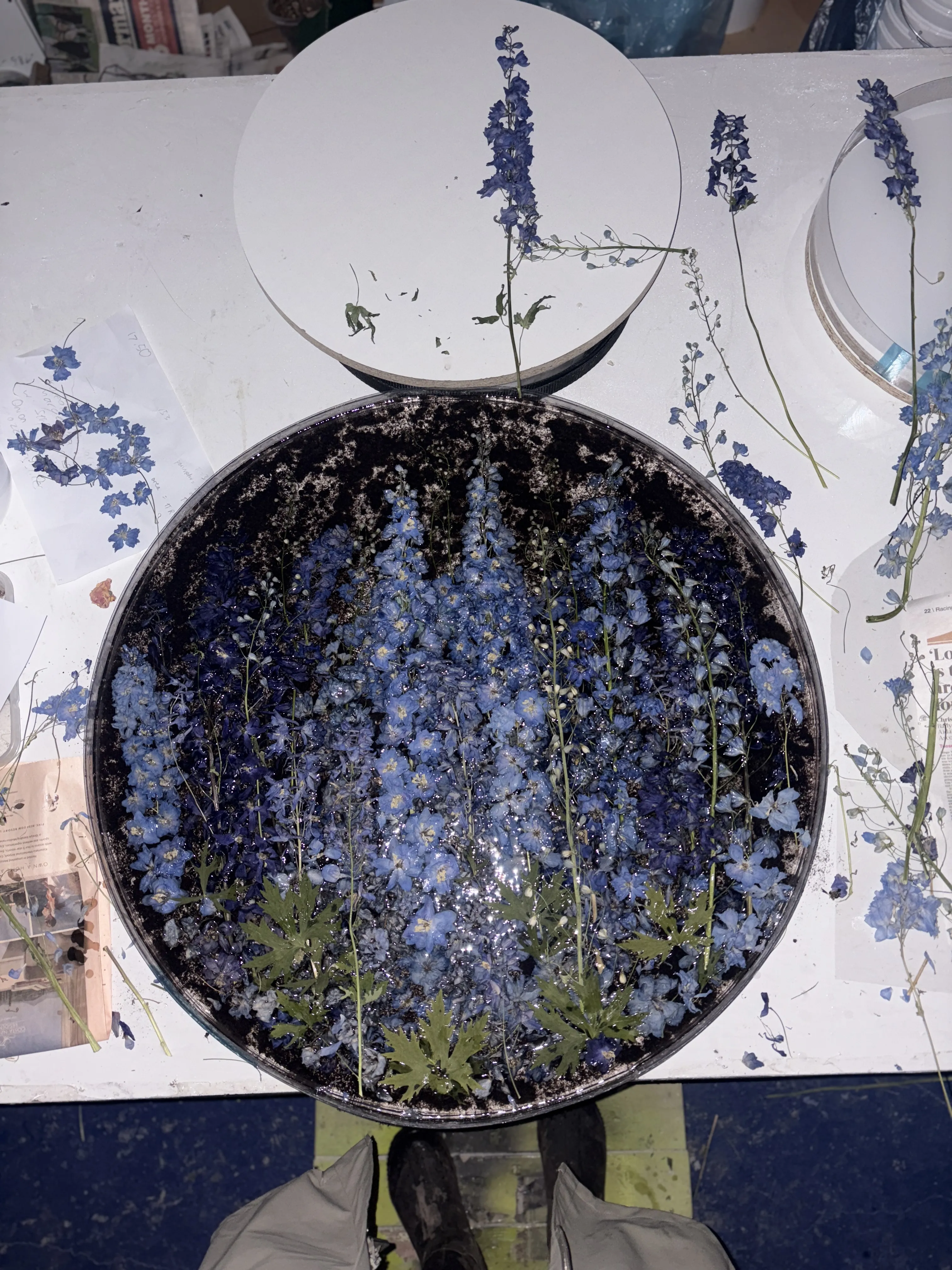 This powerful new exhibition explores maternal connections and the natural world