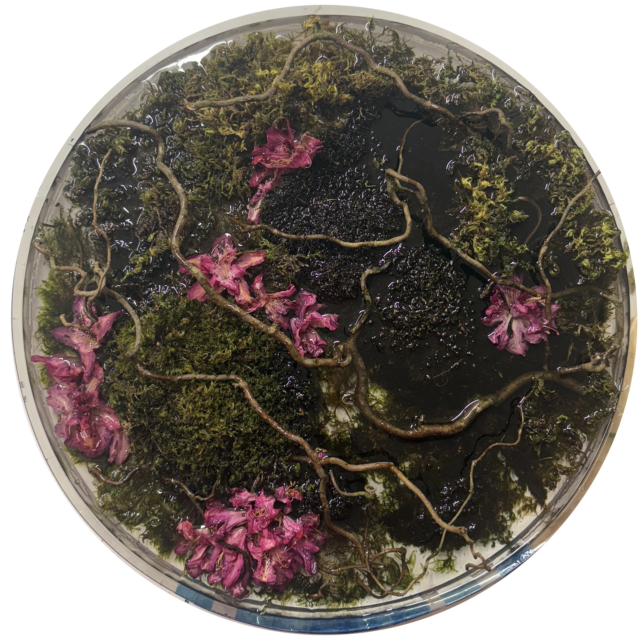 Casting in process for Sanctum study