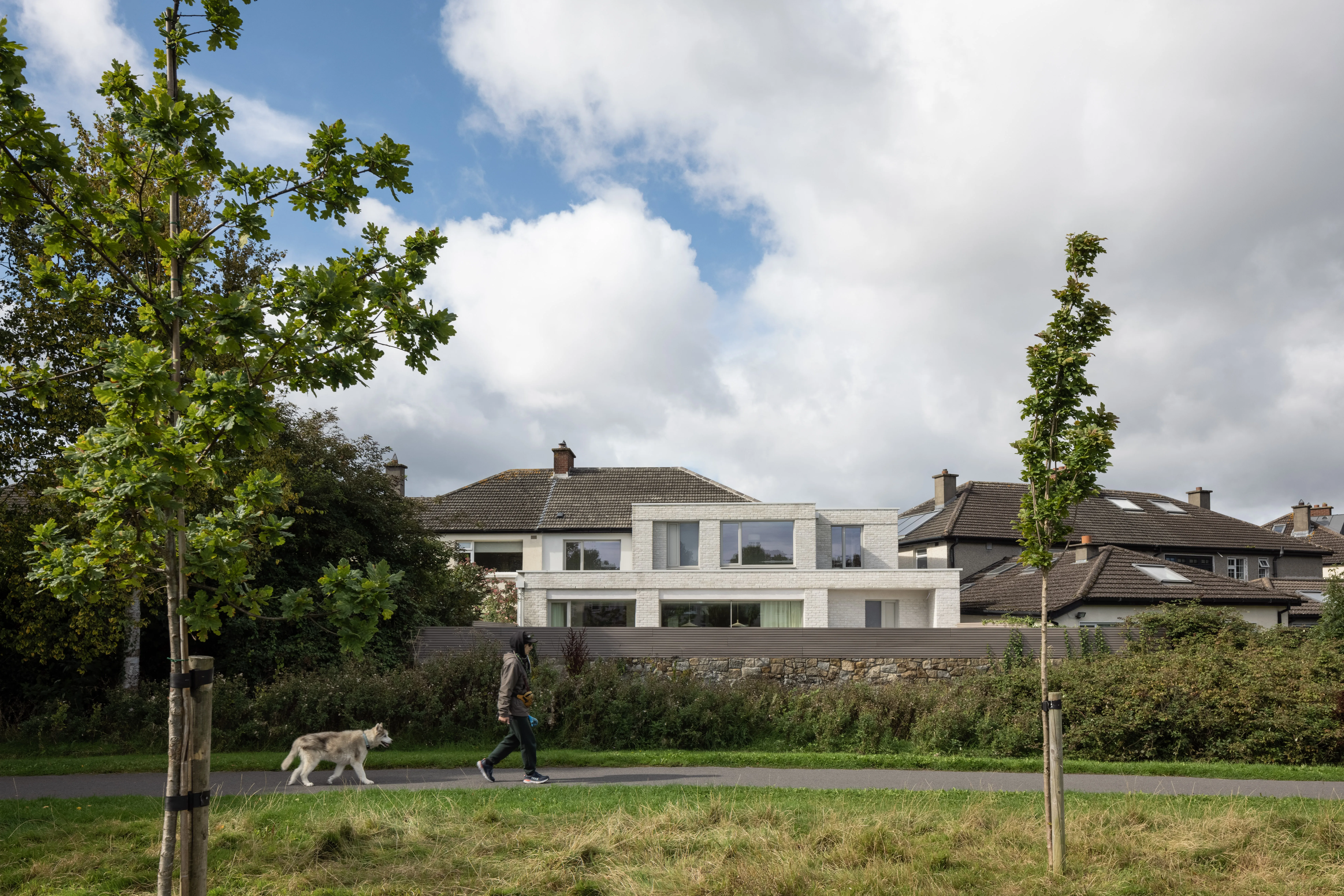 This suburban Dublin home has been modernised thanks to a clean, contemporary extension