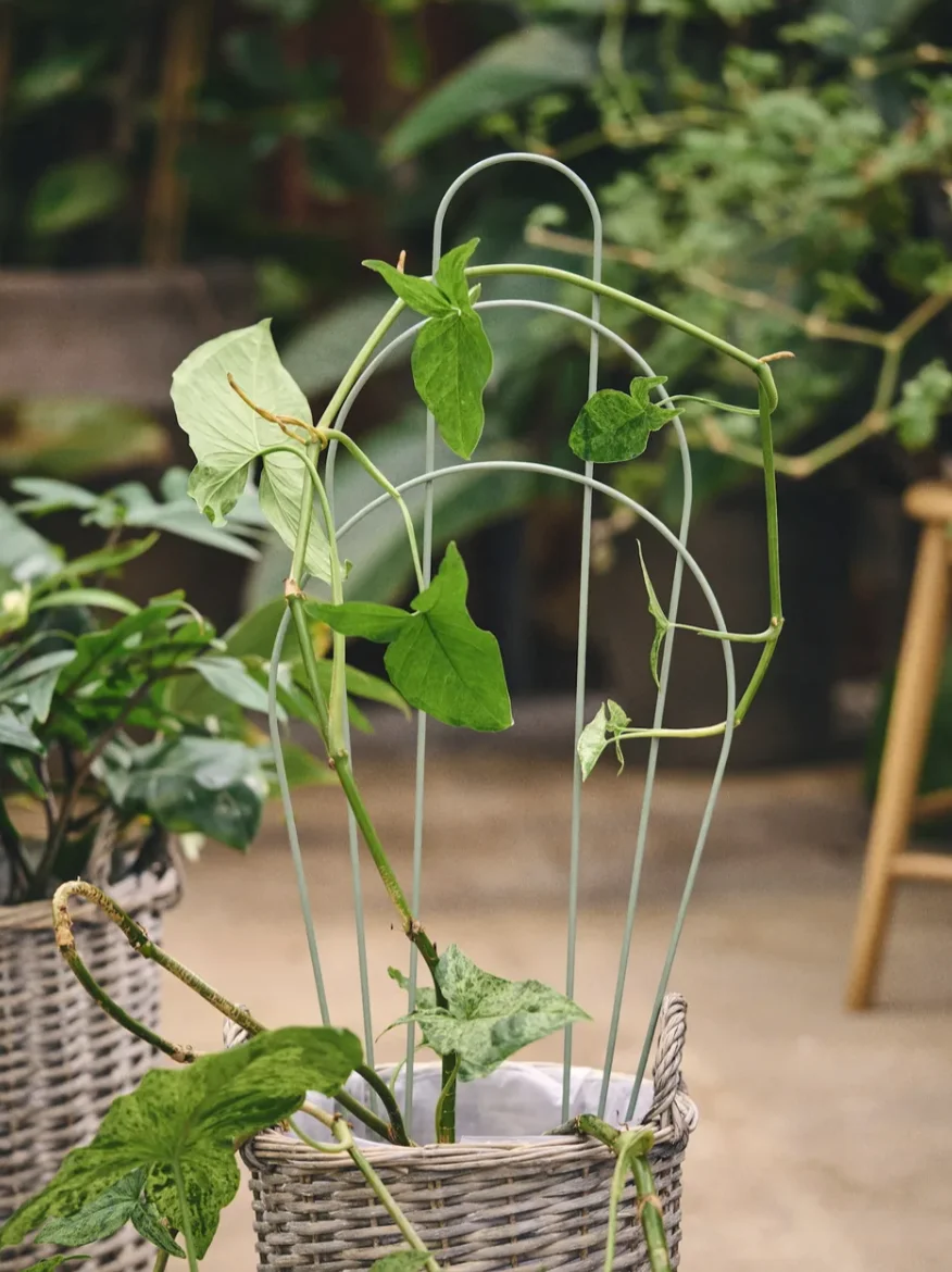 Flowerpot trellis, €4.64, Søstrene Grene