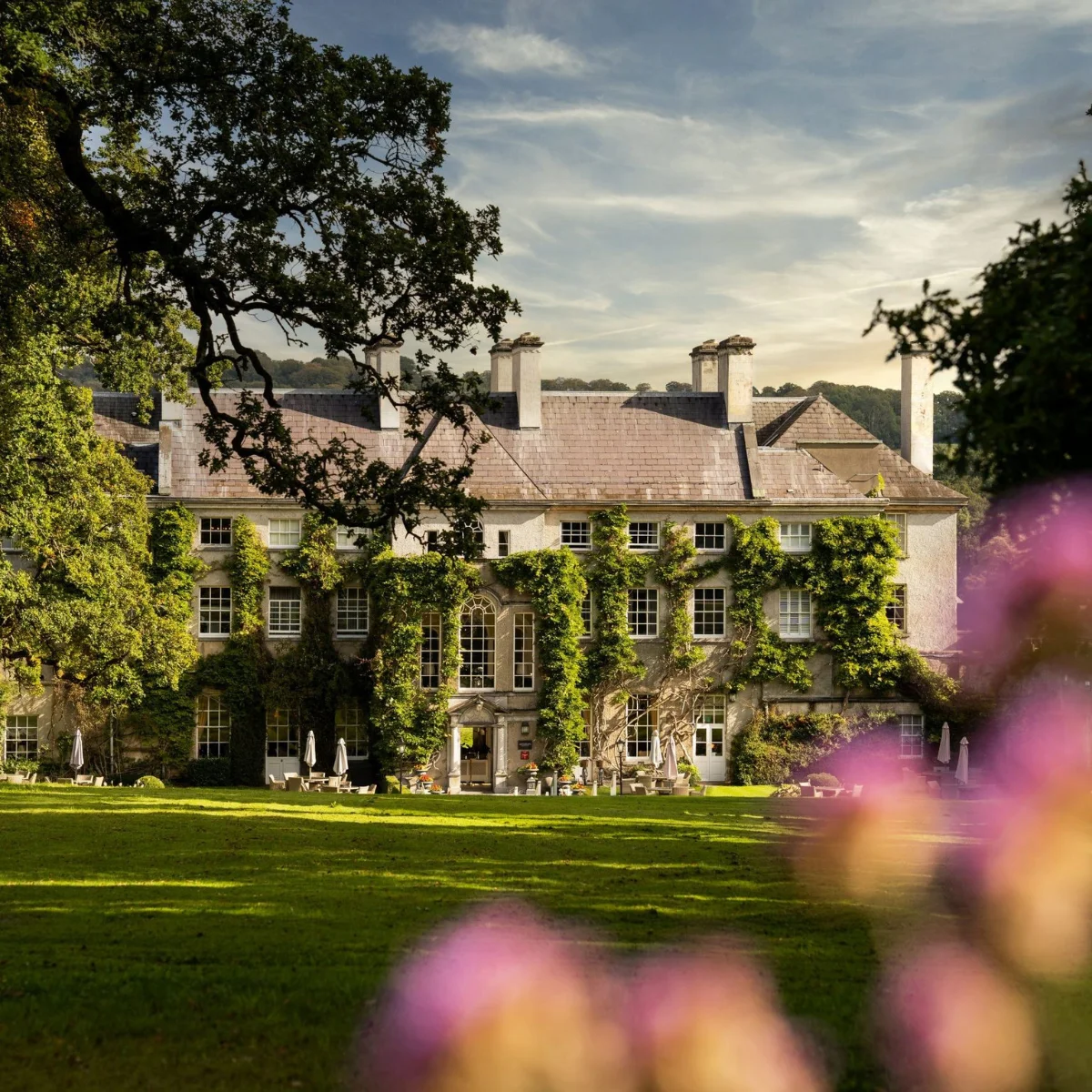 stays outside of dublin