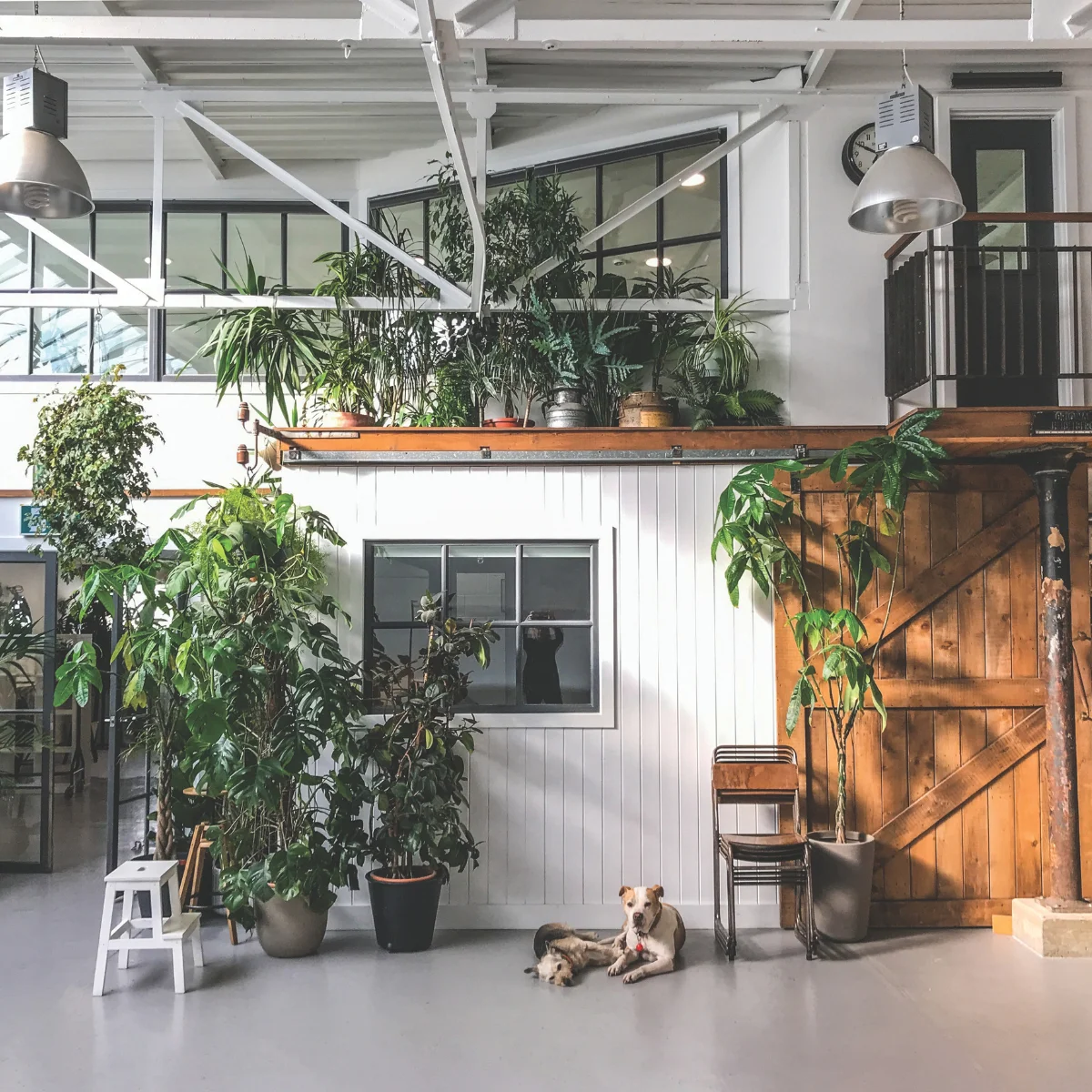 Grey Area studio.