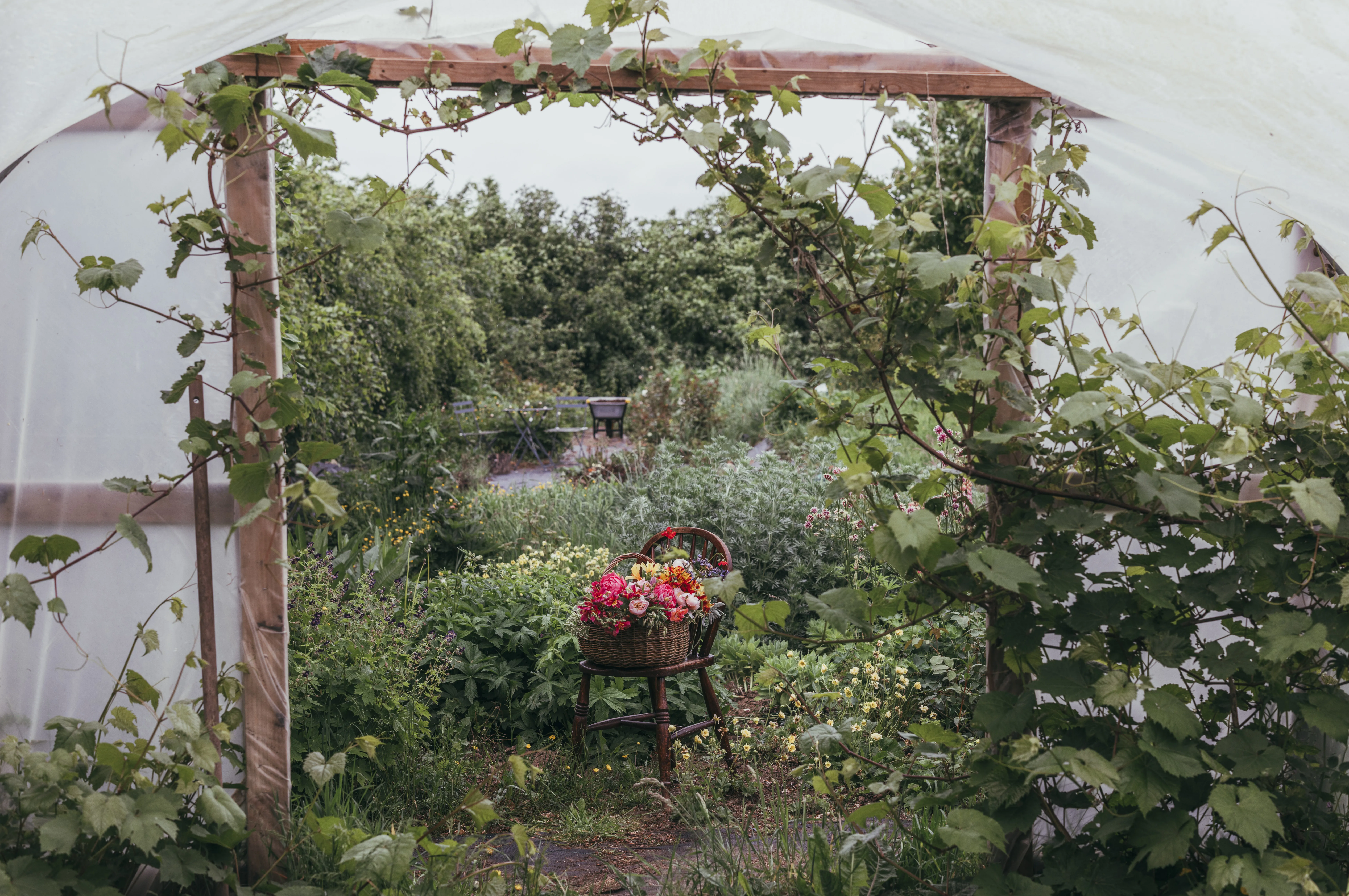 Flower farmer Maria Ryan shares her garden-inspired favourites