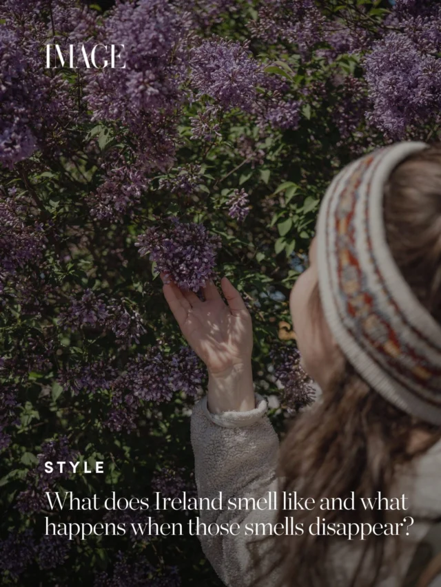 Smells tell stories about how people lived and how they understood the places around them. By the time we notice they are gone, they will already be part of our history, writes Lesley Bond. 

Ready in full at the link in bio. ?